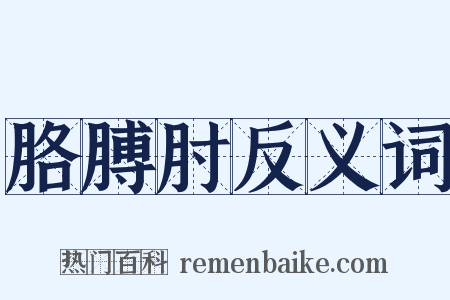 胳膊肘反义词是什么意思的图片